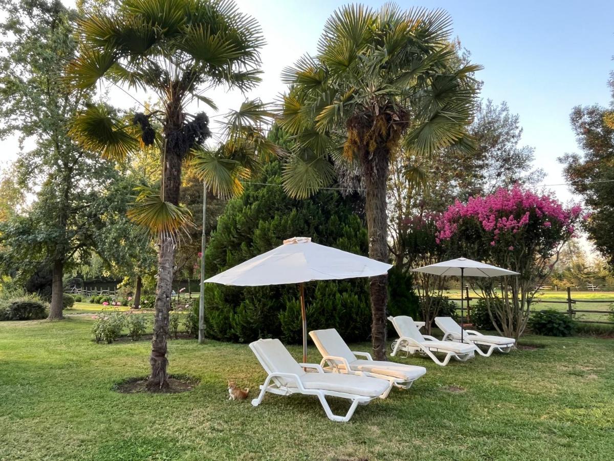 Bed & Breakfast ,Casa De Campo San Esteban,Linares Miraflores Екстериор снимка